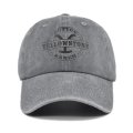 (image for) Printed_Baseball_Cap_CP875-11_gray