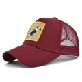 (image for) Mesh_Baseball_Cap_CM527-30Bird