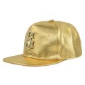 (image for) Snapback_Cap_HH513-3_golden