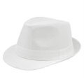 (image for) Panama_Hat_BS212-2_white