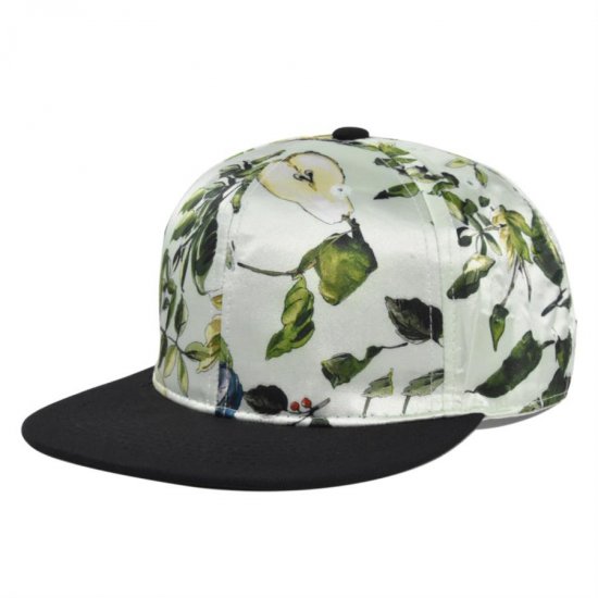 (image for) Snapback_Cap_(1)