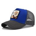 (image for) Washed_Baseball_Cap_CM521-12_gray_blue_colour_matching