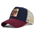 (image for) Washed_Baseball_Cap_CM615-4_wine_red&_navy_blue