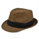 (image for) Panama_Hat_BS206-2_coffee