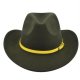 (image for) Cowboy_Hat10_BF733-10_olive_green