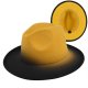 (image for) Fedora_Hat08_8_yellow