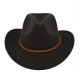 (image for) Cowboy_Hat07_BF710-7_coffee