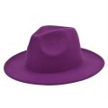 (image for) Fedora_Hat16_BF100-17_purple