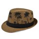 (image for) Panama_Hat_BS205-1_coffee