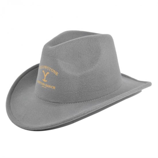 (image for) Cowboy_Hat08_BF760-8_gray