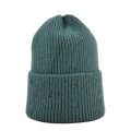 (image for) Beanie10_KN806-10_green