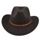 (image for) Cowboy_Hat07_BF726-7_coffee